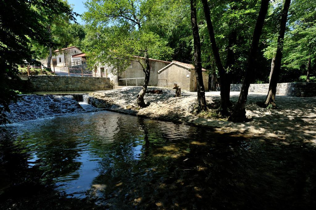 Tourist Farm Dujceva Domacija Villa Vremski Britof Bagian luar foto
